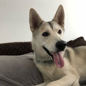 Meet your Posher, Haley